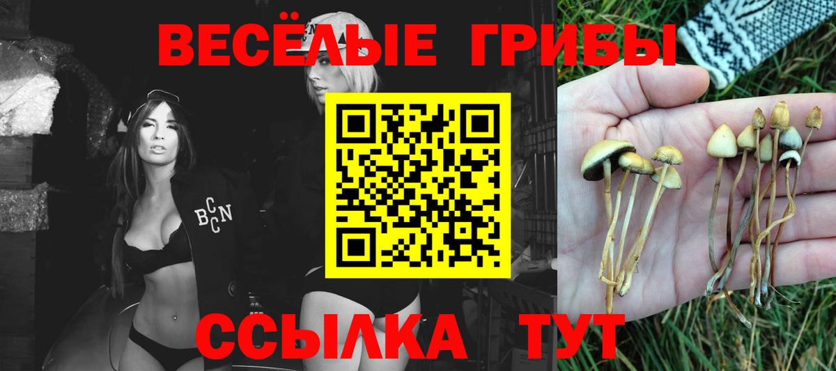 Галлюциногенные грибы MAGIC MUSHROOMS  наркошоп  Благовещенск  Вход с VPN 